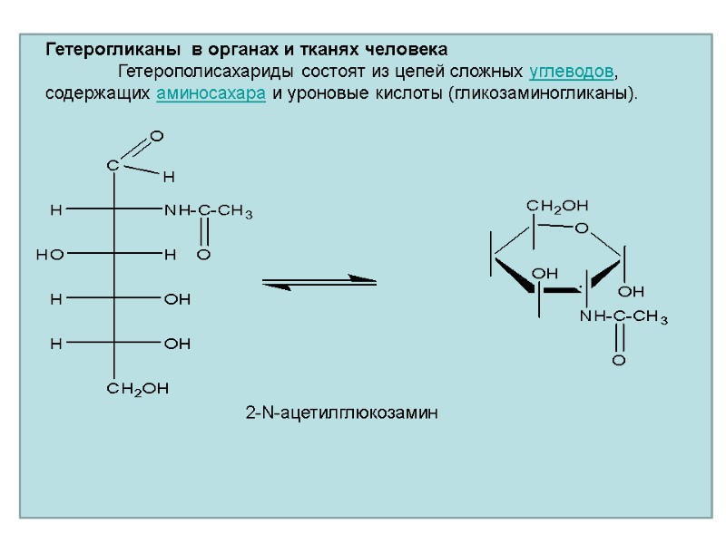 Гетерогликаны  в органах и тканях человека  Гетерополисахариды состоят из цепей сложных углеводов,